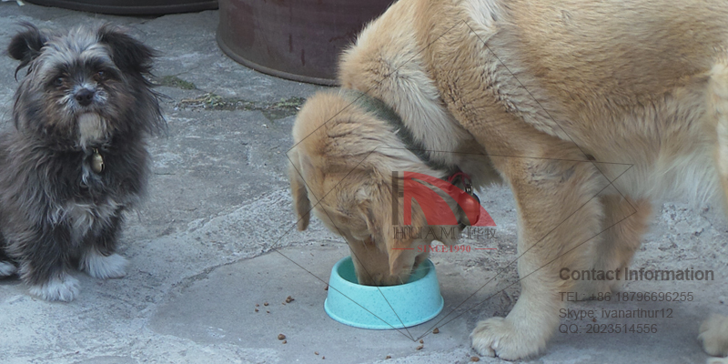プラスチック製の犬のボウルでのペットのためcm15*15*7ピンク仕入れ・メーカー・工場