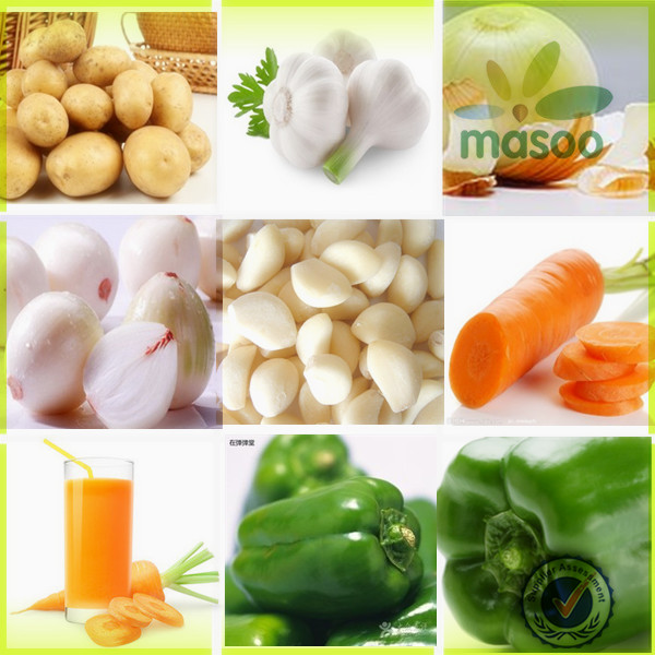 new fresh holland potato 150-200g export
