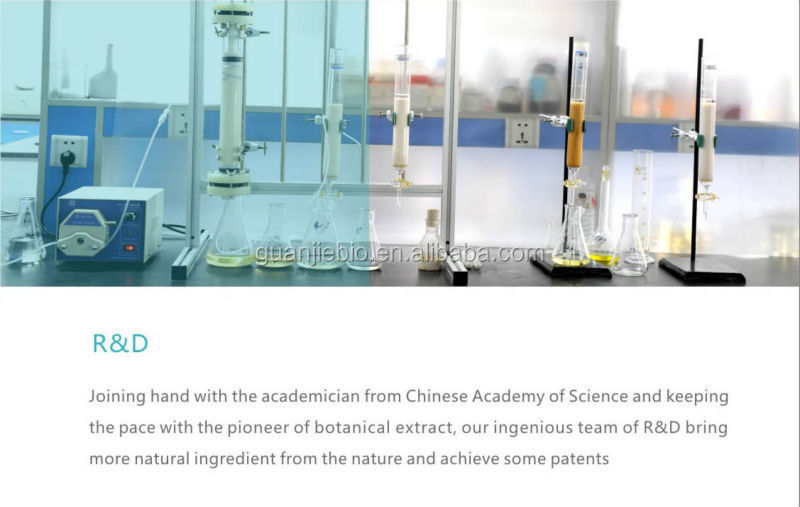GMP Natural Cocoa Powder For Food Grade