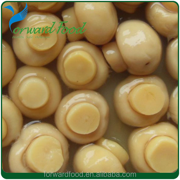 button mushroom price export food