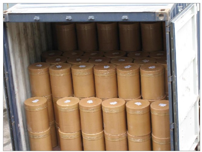 Export ganoderma lucidum canned mushroom brands to belarus