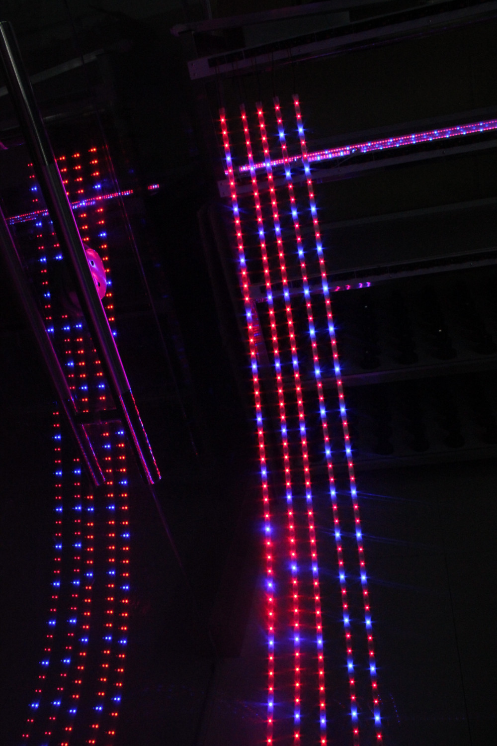 Ledストリップライト5050高品質防水ledストリップを育てる主導仕入れ・メーカー・工場
