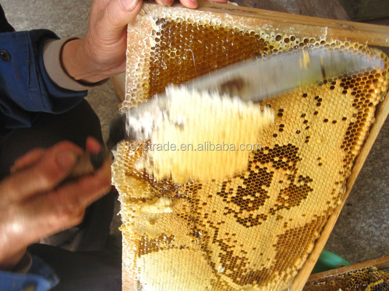 100% Pure Honey With Top Quality (H)