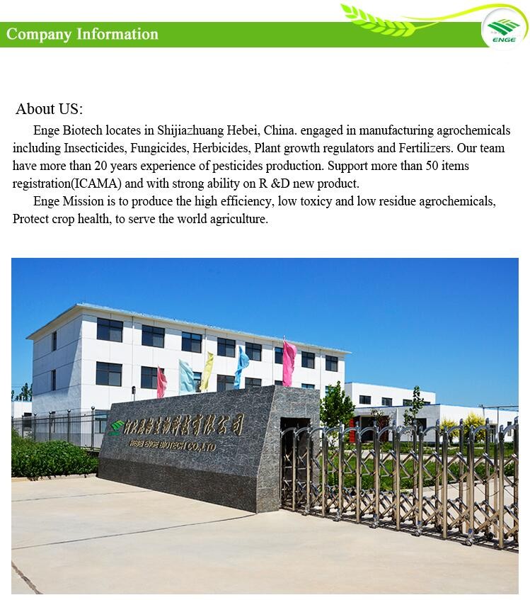 Enge 3 factory