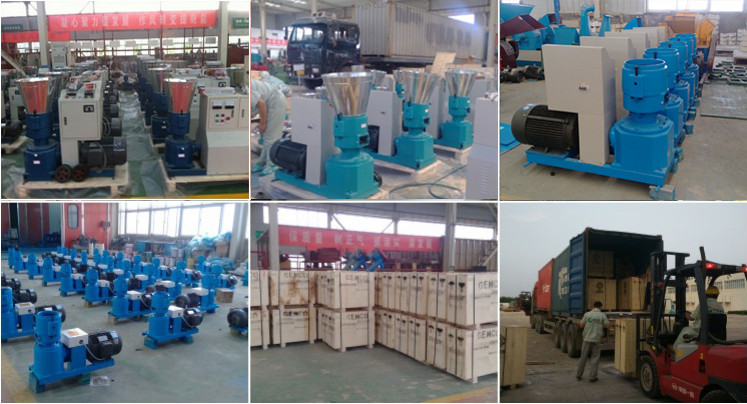 factory price r-type fire wood pellet machine 