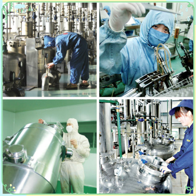 Supply saffron crocus extract , saffron powder extract ,saffron flower extract Made in China