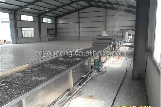 automatic food pasteurization equipment