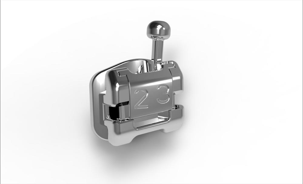 Ortho Metal Bracket Dental Orthodontic Model With High Quality