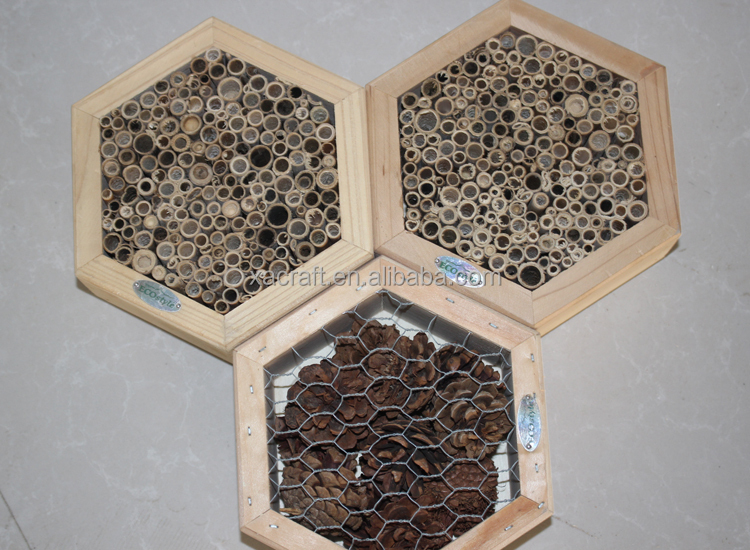 high quality Solid wood bee hive for beekeeping - high-quality-Solid-wood-bee-hive-for