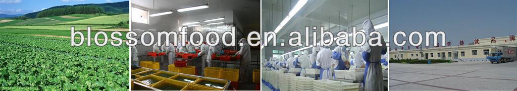China frozen vegetables IQF red or green or yellow bell color pepper