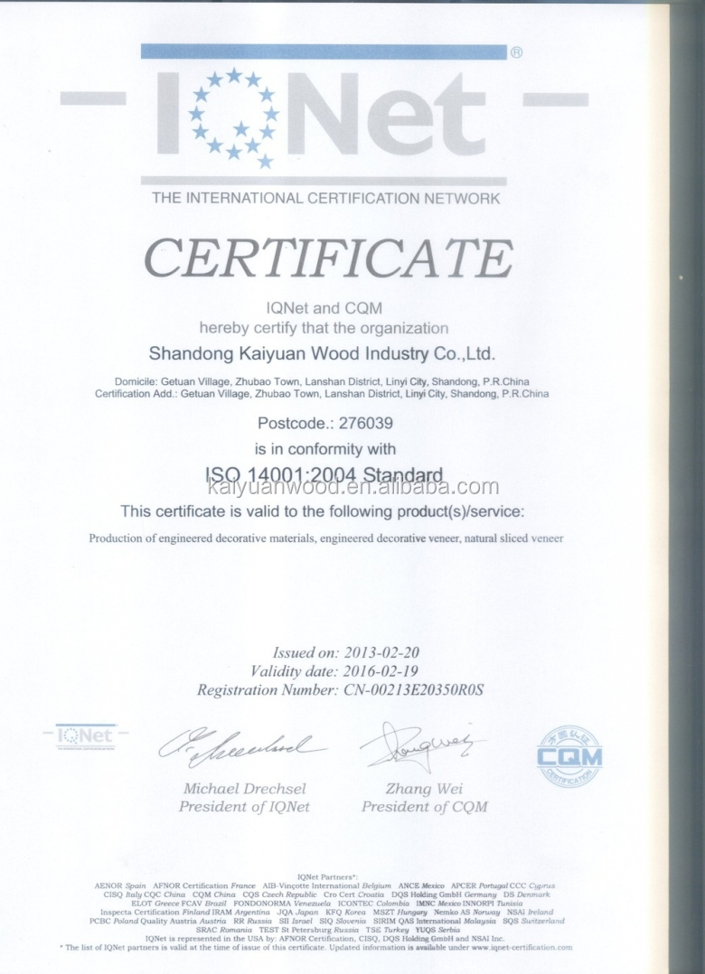 ISO140012004_conew1.jpg