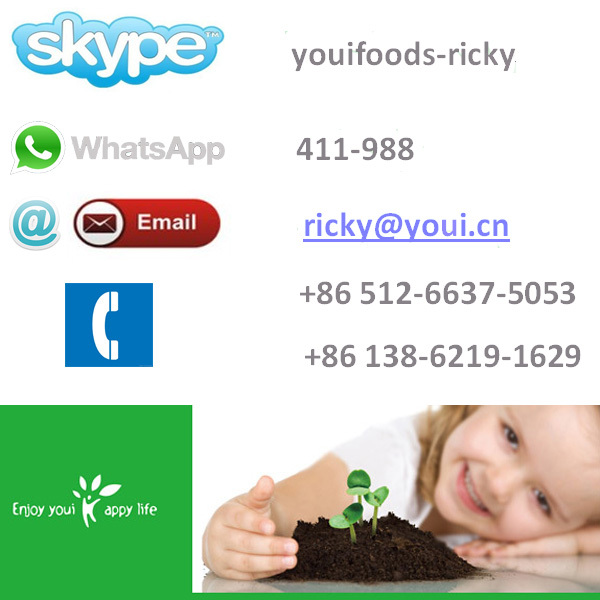 Soy Sause Peanuts with Halal,HACCP,BRC,IFS,OU Certificates