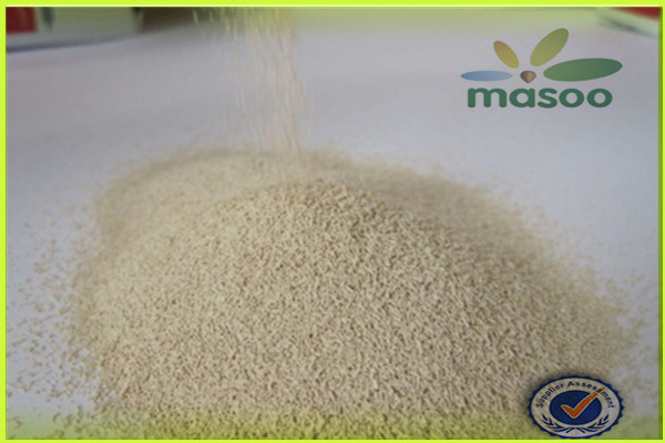 Instant Dry Yeast/Feed Dry Yeast