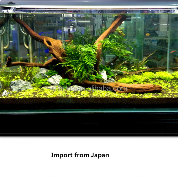 ソイルアクアのために特別にアクアリウムプランツ問屋・仕入れ・卸・卸売り