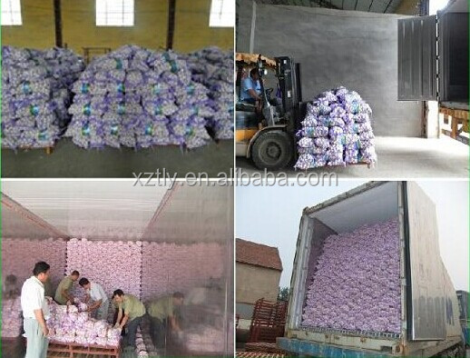 2014 Crop Fresh Chinese Garlic