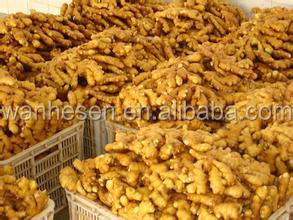 bulk new crop fresh ginger in China
