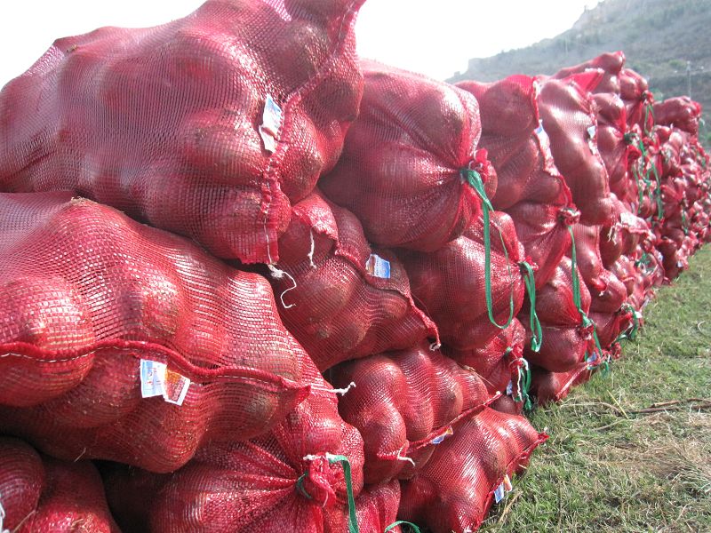 2014 new corp fresh onion/red onion