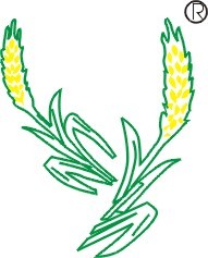 14448___logo__(0(11-06-14-00-01)(1)(2)(2)(2).jpg