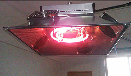 warming lights (2).jpg