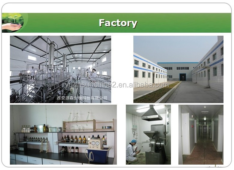 gmp aloe vera extract 100:1,200:1