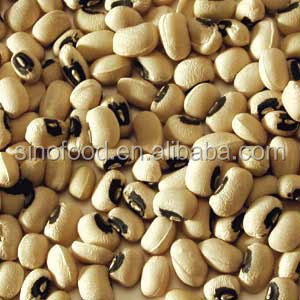 2013 crop canned red kidney beans easy open lid
