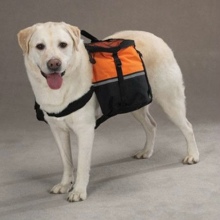 2015ペット犬のバックパック、 の犬のトラベルバックパック、 犬のデザインとバックパック( cs- 302687)仕入れ・メーカー・工場