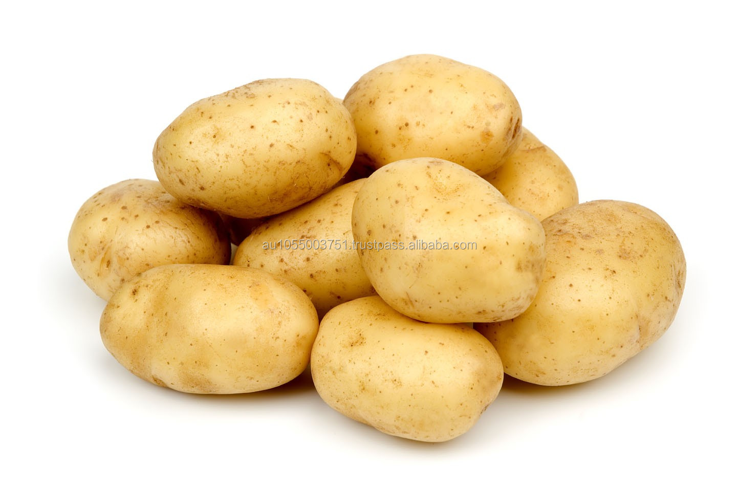 Fresh Potato From Bangladesh Buy Fresh Potato,Washed Potato,Good Quality Potato From