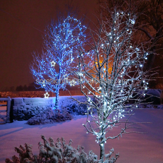 LE08-D50-BW~Blue-White-Christmas-Lights_P6.jpg