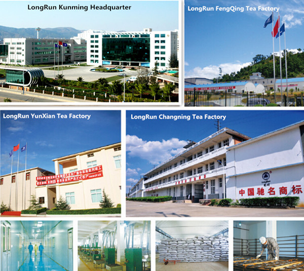High quality LongRun Raw Tea cake