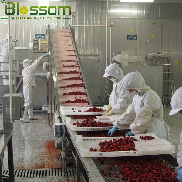 Wholesale top quality frozen strawberry new crop names all fruits