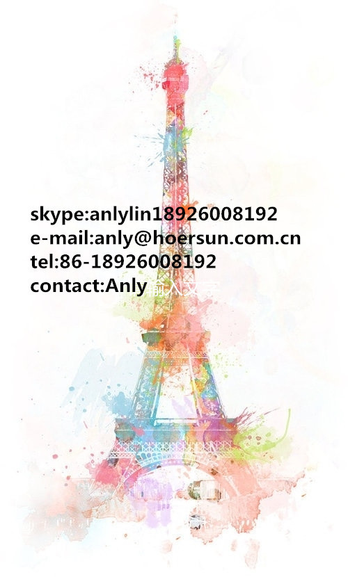 Anly Lin name card.jpg