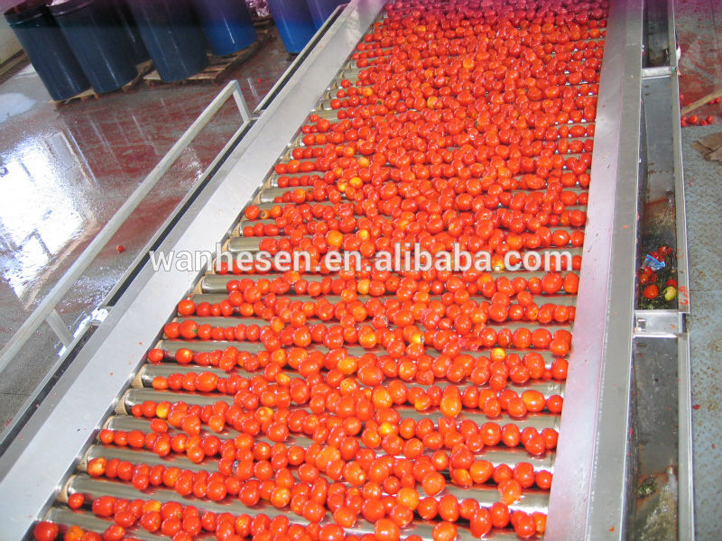 High Quality tomato paste production 210gx48tins