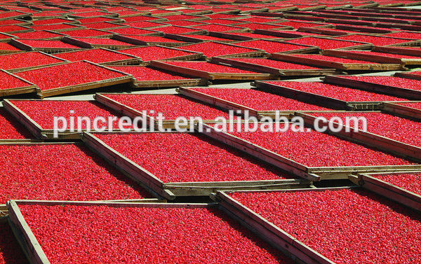 chinese herb extract,goji extract,goji berry extract