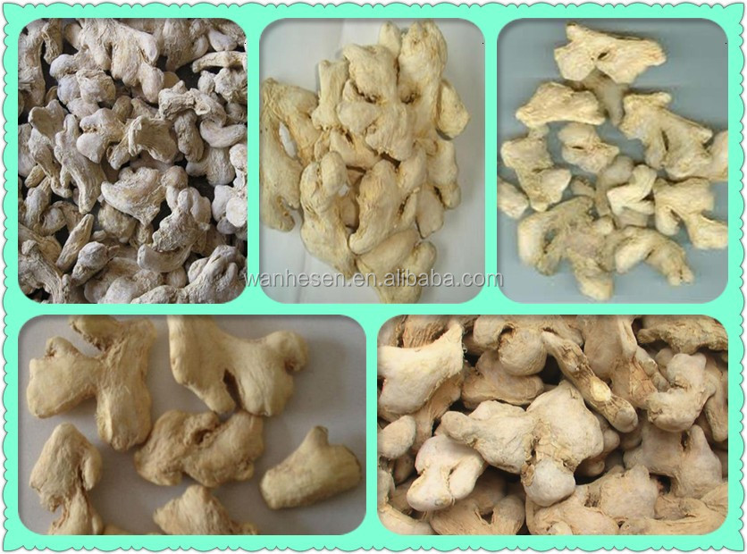 US export standard ginger factory export directly