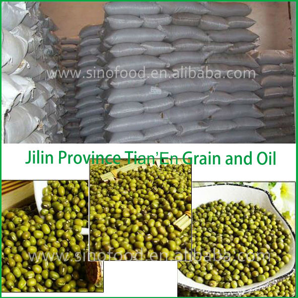 Dry high quality bulk myanmar green mung bean with a good price