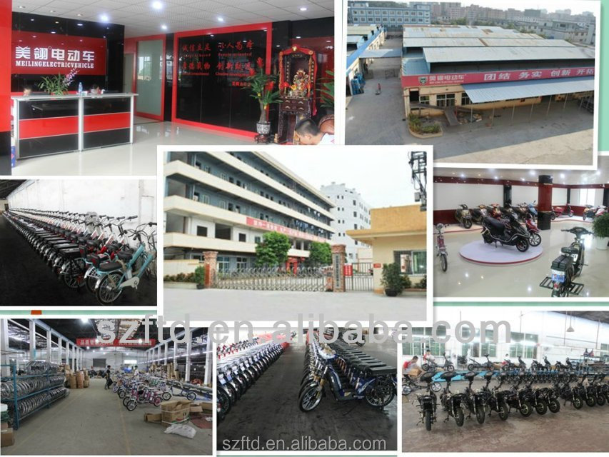 1electric bike