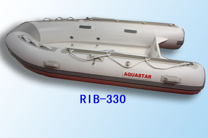 RIB300 1