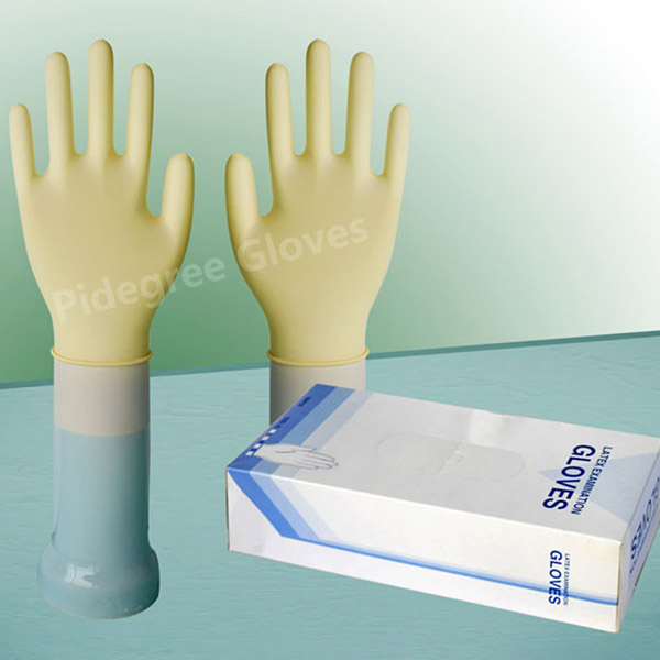 asian lesbian film and video festival food gloves grade in latex malaysia
