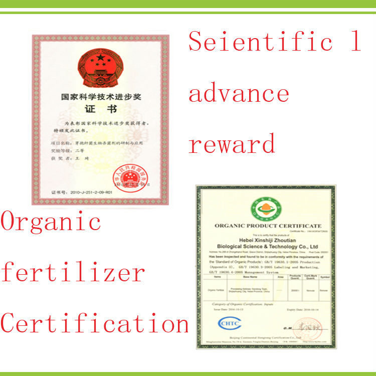 organic fertilizer 