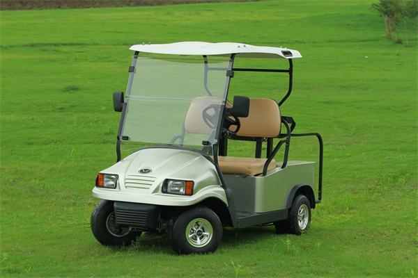 鷹ブランド新しい電気ゴルフカークラブカータイプを燃料、 ce( r2)問屋・仕入れ・卸・卸売り