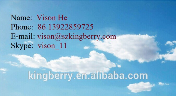 2014 new ecig anarchist mod 1:1 clone high quality Anarchist mod from kingberry