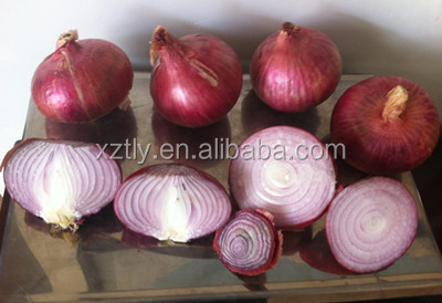 2013 Red Onion, Fresh Onion