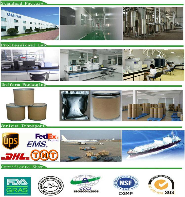 aloe vera extraction by machine process GMP factory