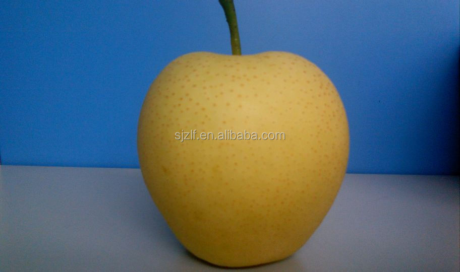 2014 Fresh Pear Farm Directly Supply