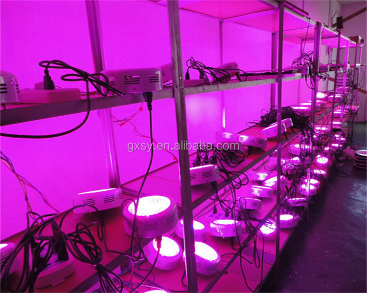 ミニufo30wすべて青色の光を成長主導成長システムのための水耕栽培温室仕入れ・メーカー・工場