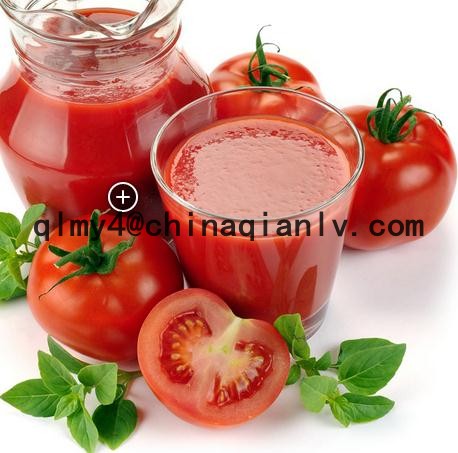 tomato paste for xinjiang