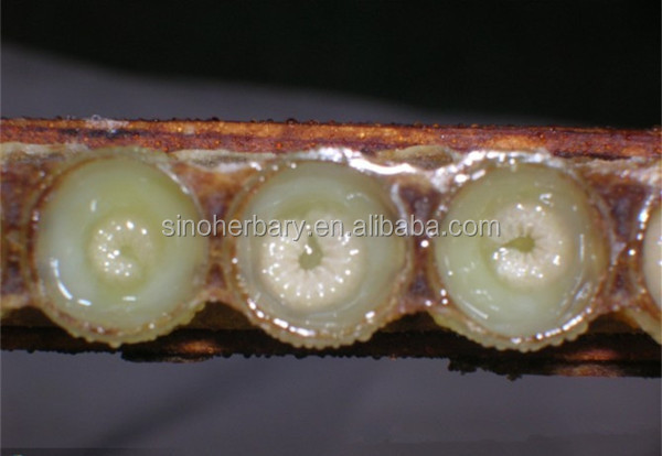 2014 Natural Fresh Lyophilized Royal Jelly Powder