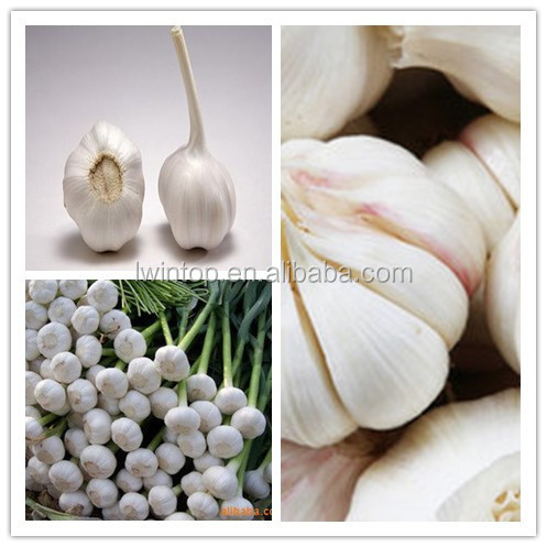 LW-2014 Garlic Price, natural garlic, Fresh Garlic