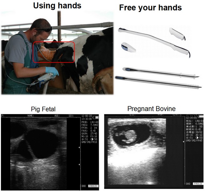 probe introducer.jpg