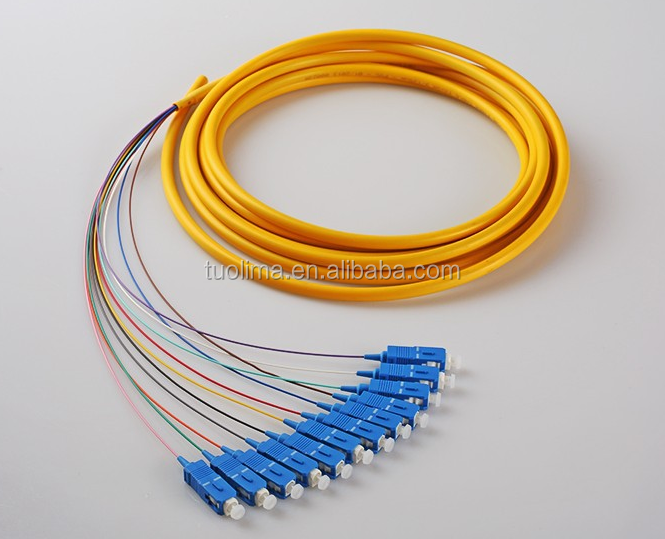 N PATCH CORD 1